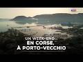 Un week-end...à Porto-Vecchio !｜TF1 INFO