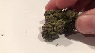 Purple Hemp Flower
