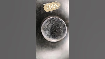 Maximum zoom _ Scissors#amazing #asmr #macro #shortvideo #shorts