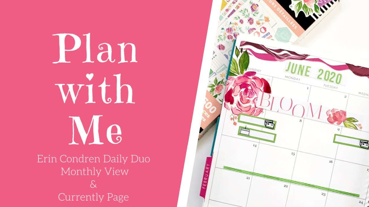 PLAN WITH ME Erin Condren Daily Duo MONTHLY VIEW and CURRENTLY PAGE ...
