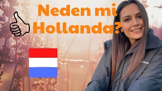 Hollandada Yaşamak Için 14 Neden Hollandanın Olumlu Yanları 