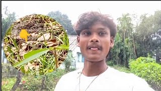 SNAKE 🐍DIK GAYA 2THU 😳 | GHAR KE BAHAR 👀 | SAYDAK 01 BLOGGER 
