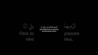 Сура «аль-Филь» 1-5Чтец «Мухаммам Люхайдан»
