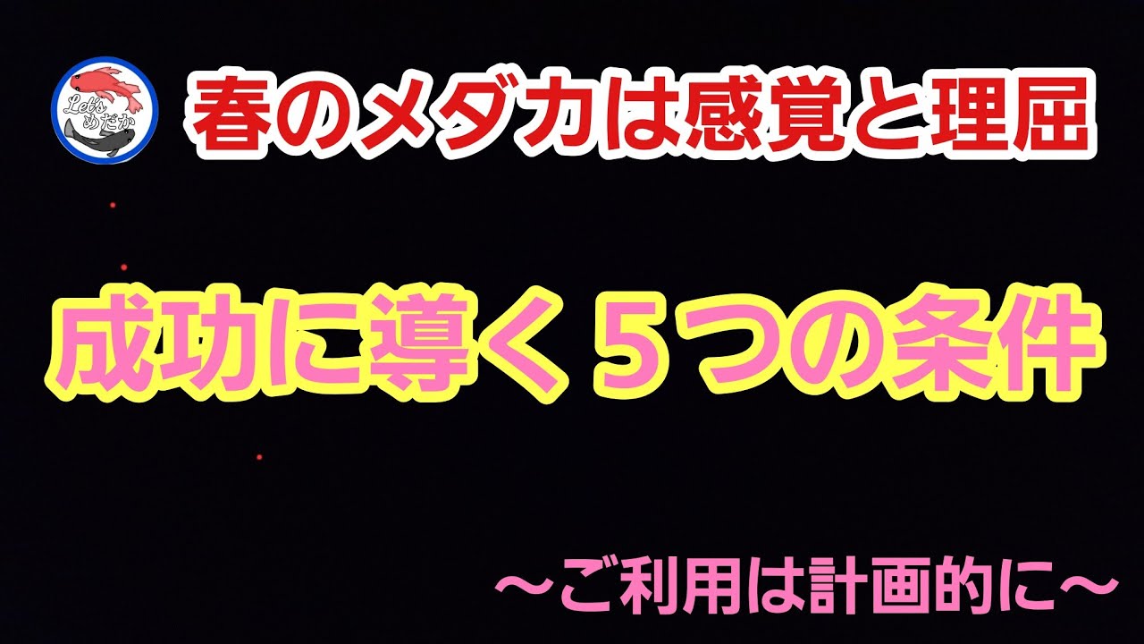 【初めての越冬】春は準備の季節でなく設計の季節～経験と日頃の観察から～