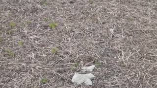 Prairie Materials Pontiac Ag Lime Part 2