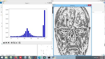 FACE EXPRESSION RECOGNITION IN THERMAL IMAGES.