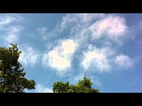 The Buzzard's Call