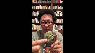 Peridotite, olivine and the mantle