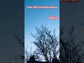 Venus, Jupiter and Mars aligned in Helsinki sky 24.02.2025 18pm #planet #venus #mars #jupiter