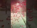 يا يما روح الروح ساميتو اني 