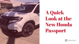 The 2019 Honda Passport-A Quick Overview by Cathy at Terrace Honda 41 views 4 years ago 5 minutes, 1 second