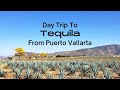 Day Trip To Tequila From Puerto Vallarta