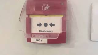 Weekly fire alarm test at my workplace (20/02/2025)