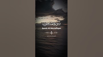 تلاوة من #سورة_المنافقون