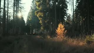 Backaound free for youtube channel (no copy right) screenshot 3