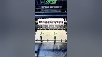 Bế hộp giấy số lượng lớn nhanh chóng bằng máy bế tự động tại An Tạo - inantao.com