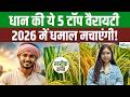 2026 की टॉप 5 धान वैरायटी! सबसे ज्यादा पैदावार और मुनाफा | Dhan Ki Top Variety | Dhan Ki Kheti