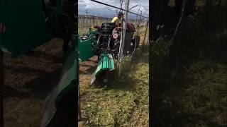 Weed Trimmer For Weeds Between The Rows || Made By Fa.ma Pruning Italy || #Shorts