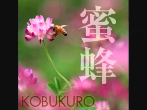 蜜蜂　コブクロ　(COVER)