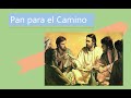 La persona ejemplar - Salmos 1 - 6. Camino