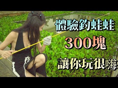 【 釣蝦女神系】300塊釣青蛙 讓你玩很嗨