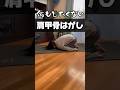 【肩甲骨はがし】何もやりたくない時のズボラストレッチ#肩甲骨はがし