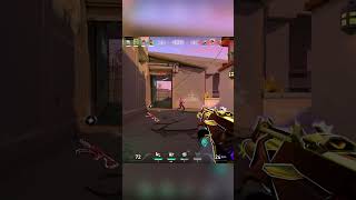 Are You Okay Clove 🎪