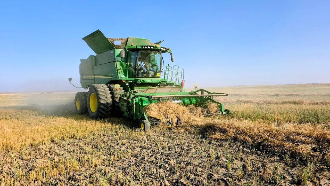 Возвращаемся на юг..