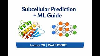 Lecture 20: Subcellular Prediction with WoLF PSORT &amp; Machine Learning Guide