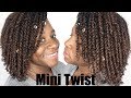 EASY NATURAL HAIRSTYLES FOR FAST HAIR GROWTH | MINI TWIST ON NATURAL HAIR