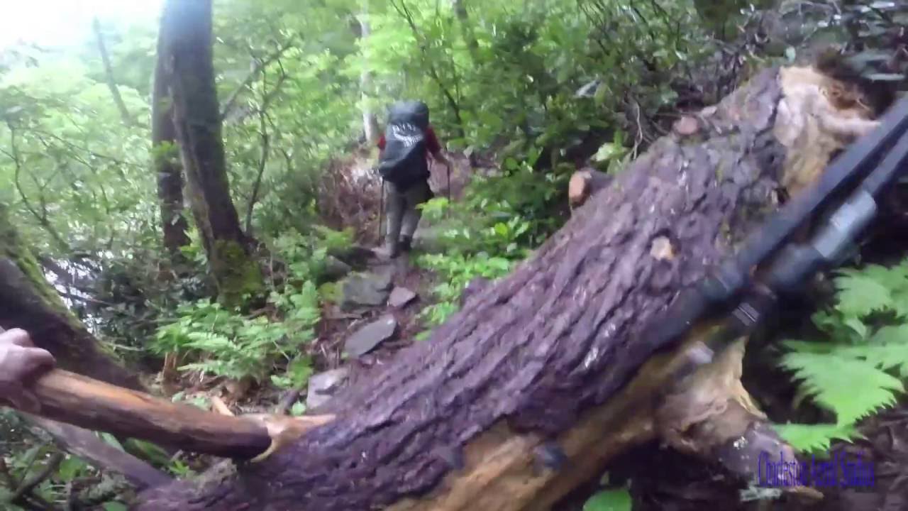 Hammock Camping Linville North Carolina YouTube