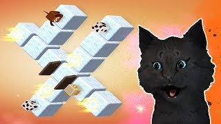 Epic Animal - Move to Box Puzzle С ГОВОРЯЩИМ СУПЕР КОТОМ ( ИГРА для ДЕТЕЙ ) ИГРА НА АНДРОИД screenshot 5
