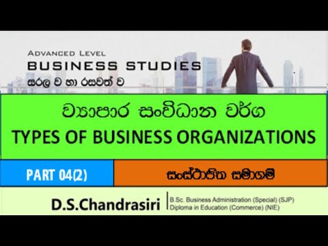 4. 4(2) සංස්ථාපිත සමාගම් | Incorporated Companies