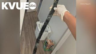 UT students living in West campus report mold issues in apartments