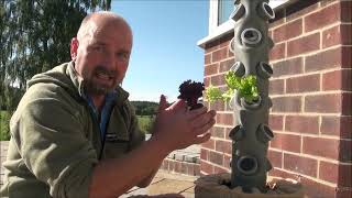 A First Look at the Vertical Horizon Hydroponics Tower