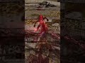 How pvp was meant to be played 🗿 #shorts #eldenringpvp #eldenring #gaming