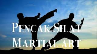 Musik Pencak Silat ~ Soundtrack Pencak Silat