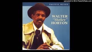 Video thumbnail of "All Because Of You  -  Big Walter Horton"