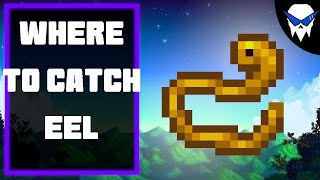 Stardew Valley – How to Catch Eel (Best Spots & Simple Tips)