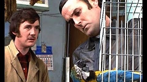 02  Petshop, Dead Parrot   Monty Python
