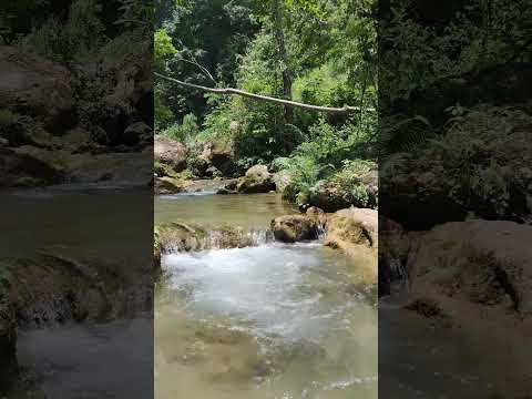 #river #wilderness