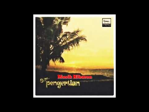 HATIKU BEKU - ELVI SUKAESIH