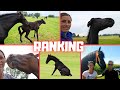 Will you find out what the ranking is? | Ajeto! | Friesian Horses