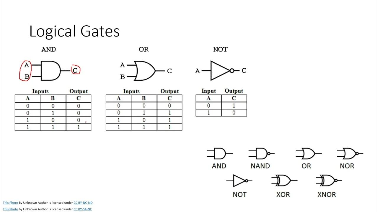 Beginner Programming Course - Python, JAVA, C++, C# (Video 11 ...