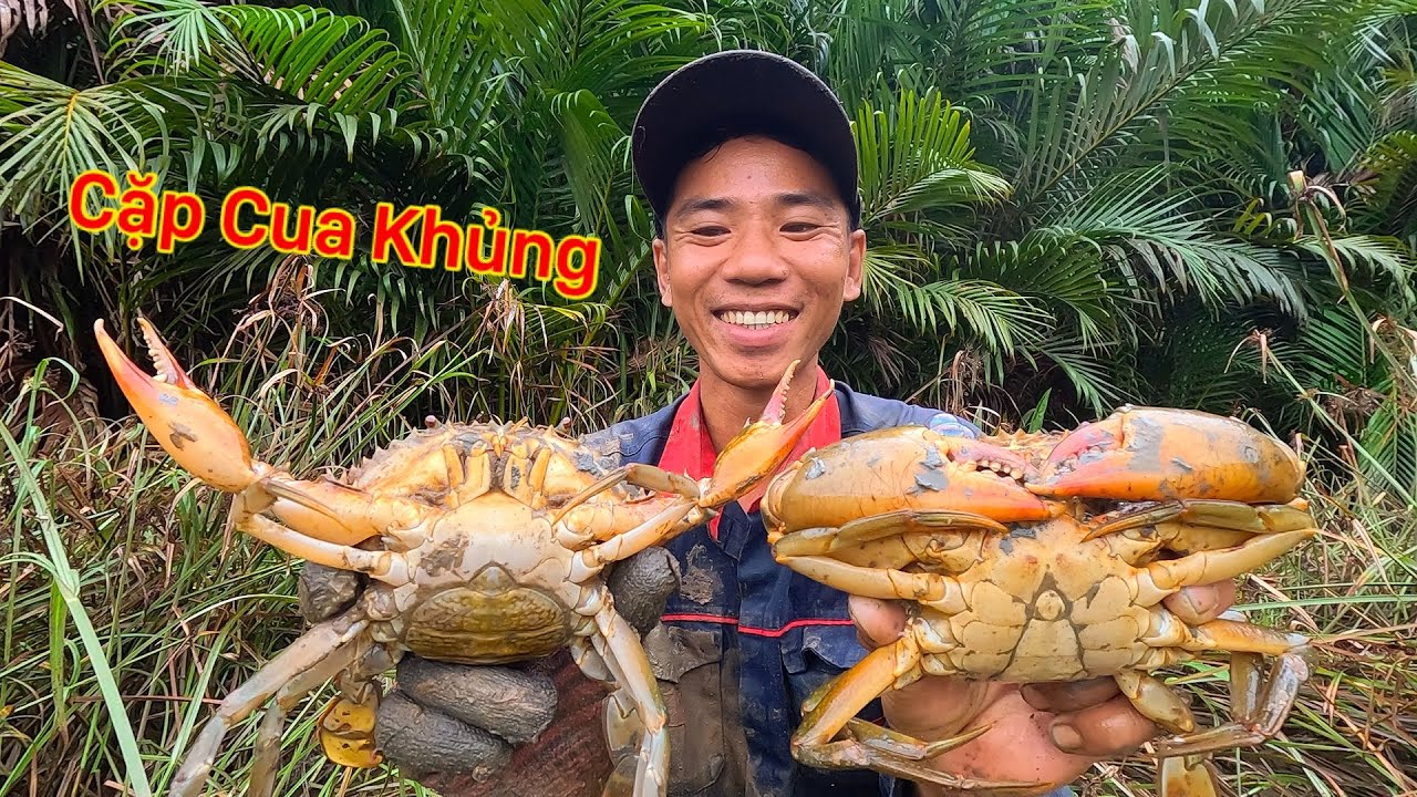 ĐỔI HƯỚNG ĐI BẮT DỘP NÀO NGỜ GẶP TOÀN CUA KHỦNG