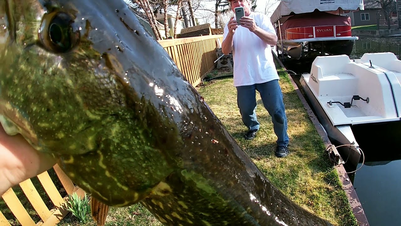 Bass Fishing gone Wrong! (big fish breaks through neighbors Net!)