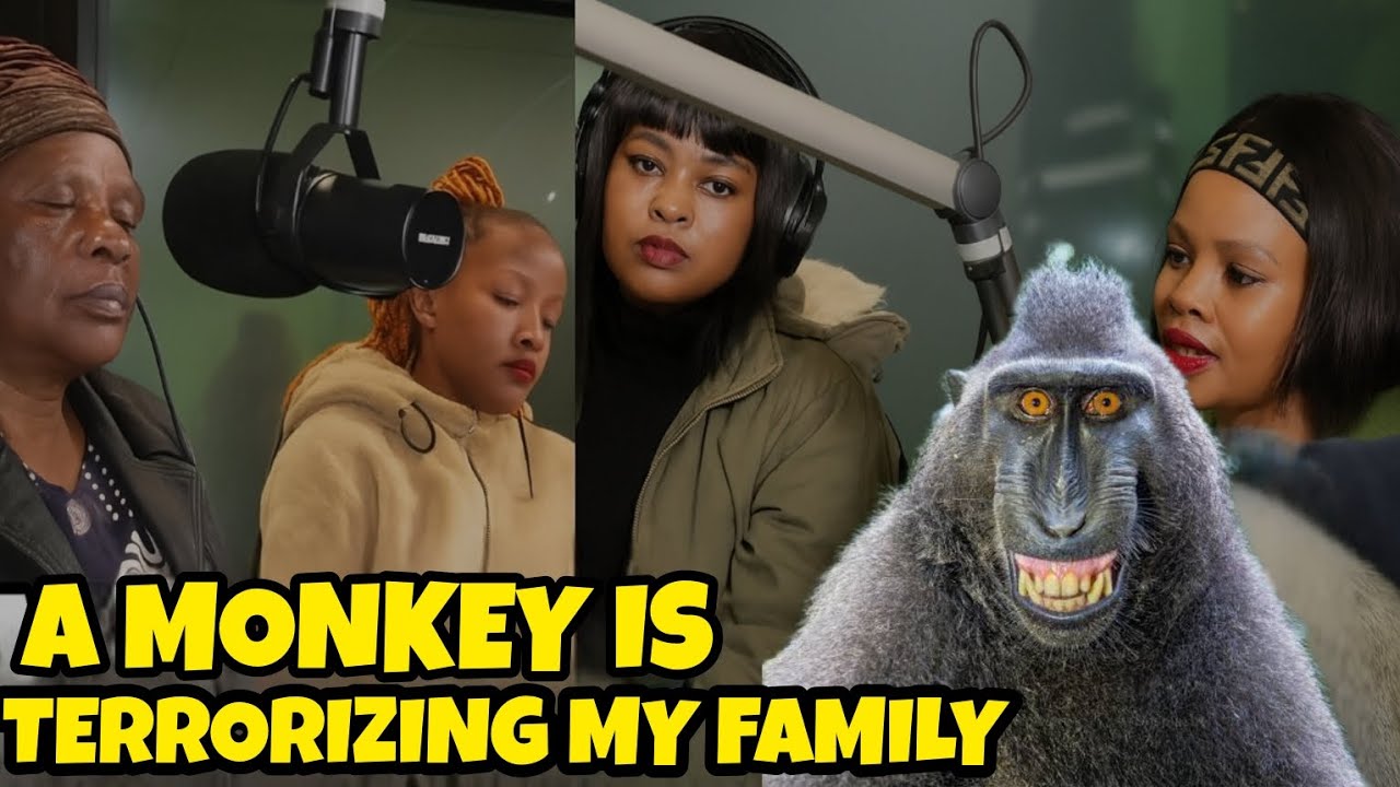 This family is being terrorized by a Monkey - it's an emotional story
