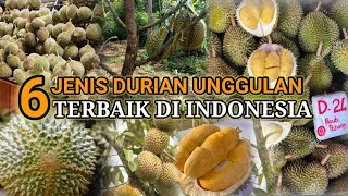 6 JENIS DURIAN UNGGULAN DAN LAYAK DI BUDIDAYAKAN DI INDONESIA screenshot 1