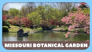 Missouri Botanical Garden Tour 4K  April 2023