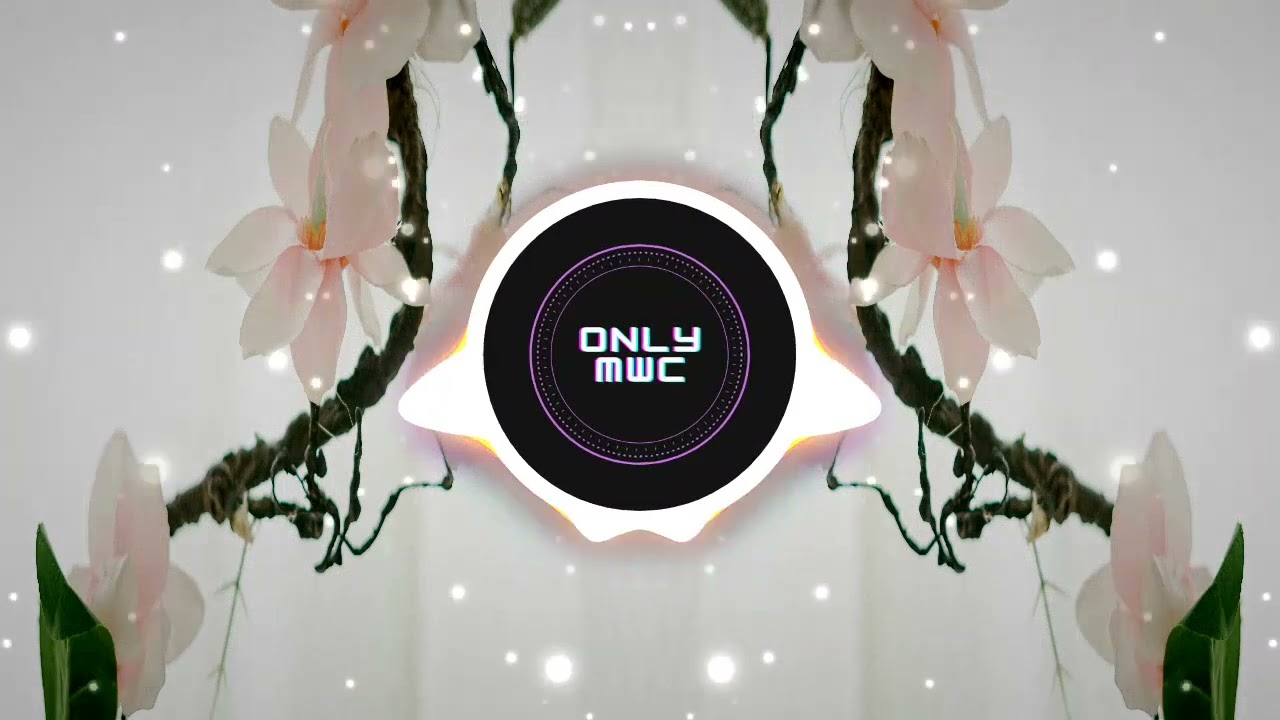 [ NO COPYRIGHT] / Dua Lipa - New Rules